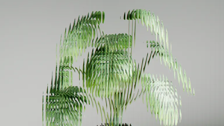 Pflanze hinter Glaswand