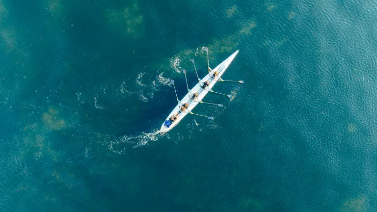 Luftaufnahme eines Ruderteams