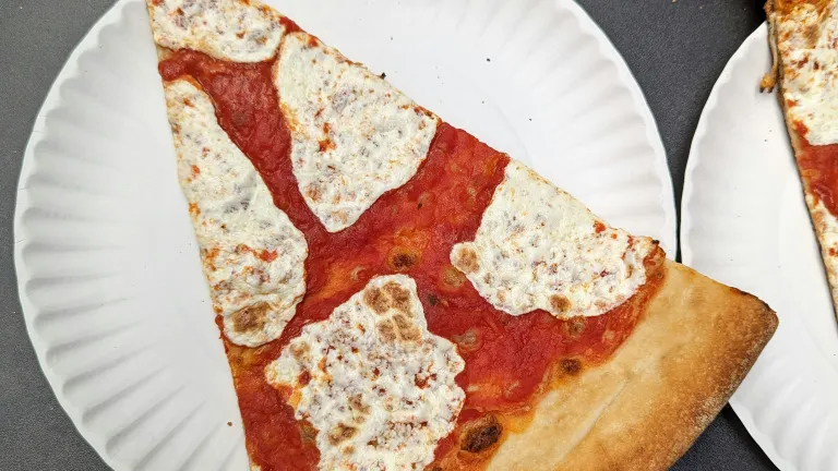 pizza slice