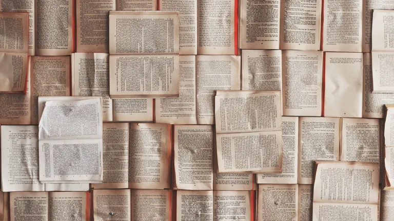 Papierbögen mit viel Text