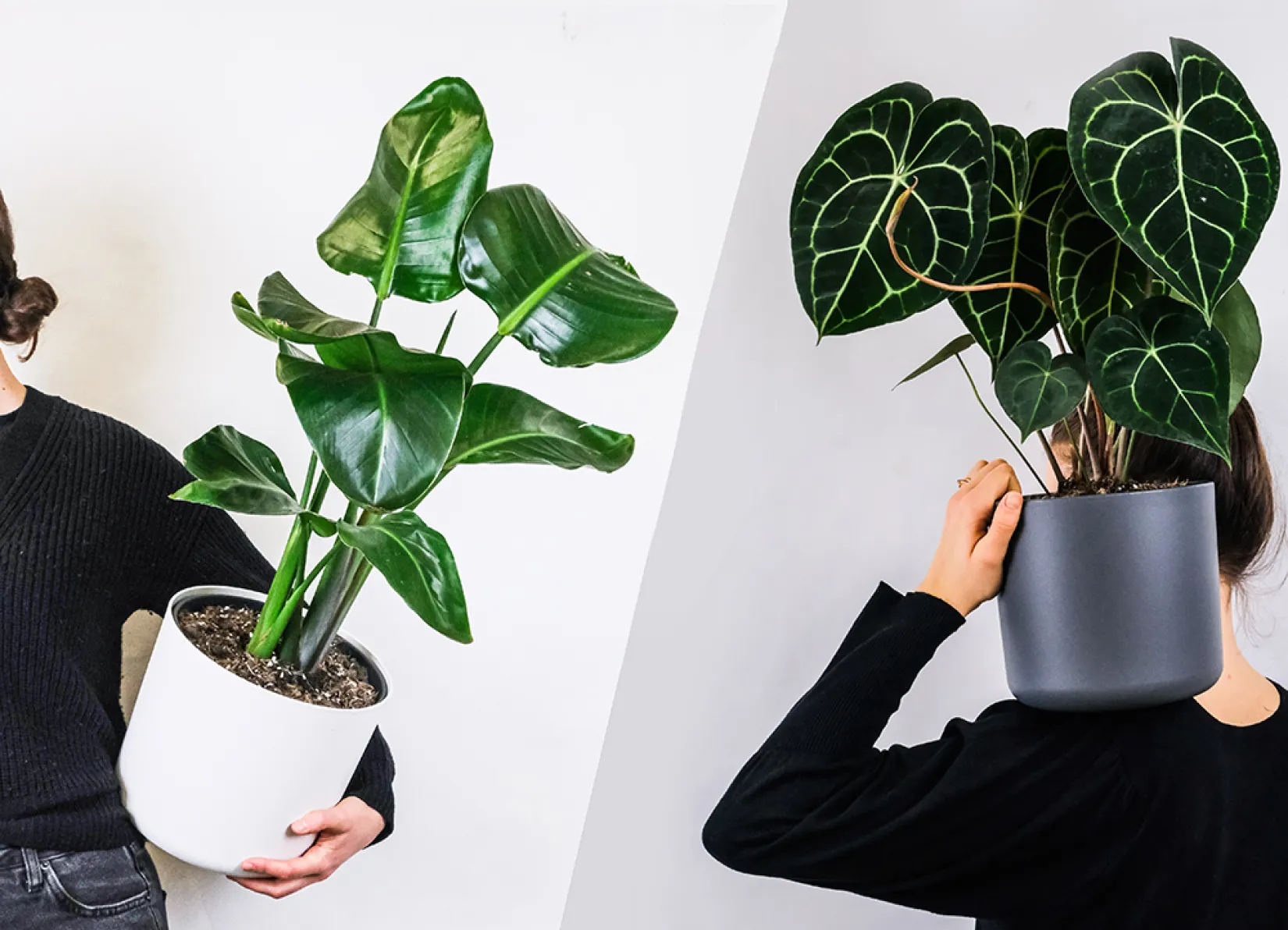 two women holding a green plant each