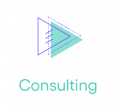 SGT-2020-Consulting